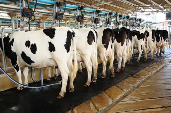 Sustainable Farming